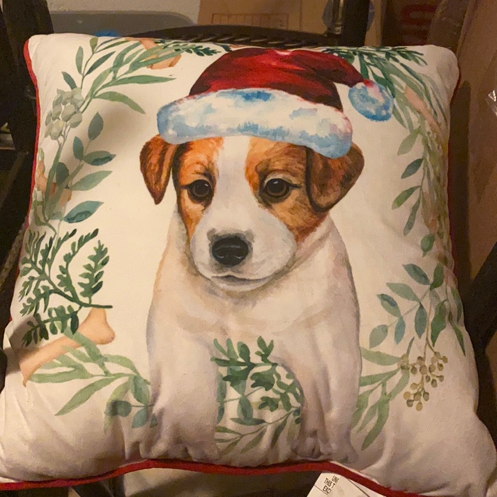 Holiday Decorative Pillow